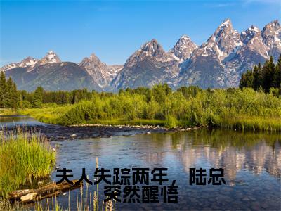 夫人失踪两年,陆总突然醒悟小说免费(乔熏陆泽)全文免费阅读无弹窗-夫人失踪两年,陆总突然醒悟小说全文免费阅读-笔趣阁