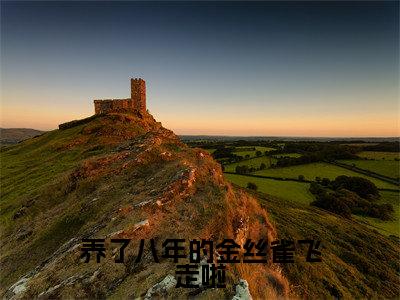 裴焱沐青媃小说在线阅读全文免费阅读无弹窗大结局_养了八年的金丝雀飞走啦小说免费最新章节列表_笔趣阁