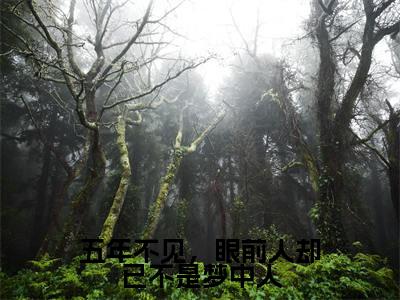 木子易沈冉小说五年不见,眼前人却已不是梦中人全文免费阅读无弹窗-正版小说木子易沈冉全文阅读