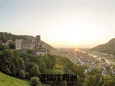 沈靳洲温瑜(温瑜沈靳洲)全文免费阅读无弹窗-温瑜沈靳洲完整版全文在线赏析