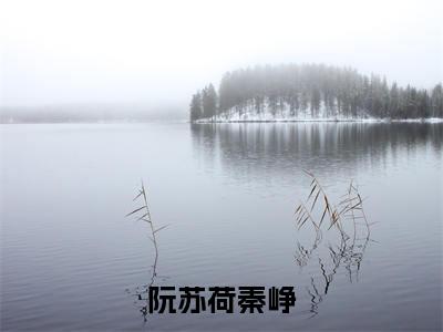 秦峥阮苏荷小说在线阅读(阮苏荷秦峥)全文免费阅读无弹窗大结局_秦峥阮苏荷小说免费最新章节列表_笔趣阁(阮苏荷秦峥)