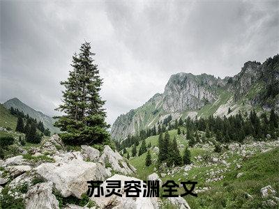 主角为 苏灵容渊的小说精彩阅读-惨死三世，女配摆烂后他们都慌了最新章节阅读