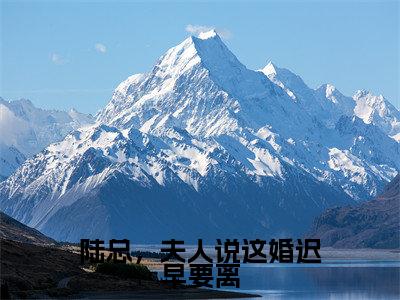 盛渺陆怀序小说(陆总,夫人说这婚迟早要离)全文免费阅读_陆总,夫人说这婚迟早要离最新章节列表笔趣阁(盛渺陆怀序)