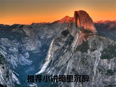 暗里沉醉小说（ 傅灵妮傅茜婧）全文免费阅读无弹窗大结局_（暗里沉醉） 傅灵妮傅茜婧最新章节列表（ 傅灵妮傅茜婧）