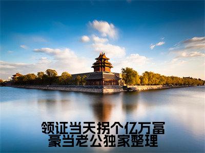 领证当天拐个亿万富豪当老公（ 穆燕森文溪）小说多人阅读-小说 穆燕森文溪在哪里看免费