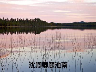 沈卿卿顾池南(顾池南沈卿卿)精彩小说-小说顾池南沈卿卿全文无删减版免费阅读