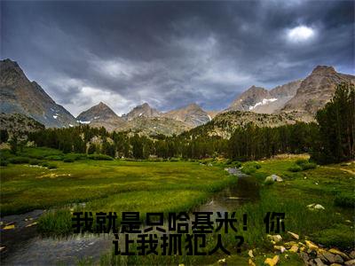 我就是只哈基米！你让我抓犯人？小说（哈基米）最新章节阅读-我就是只哈基米！你让我抓犯人？（哈基米）免费阅读无弹窗大结局