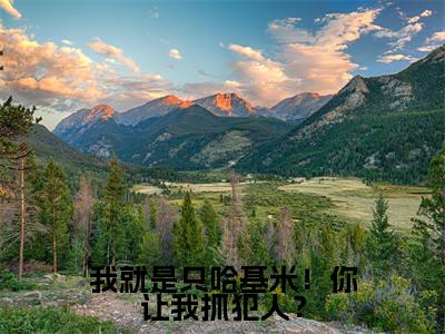 哈基米最新章节(我就是只哈基米!你让我抓犯人?)全文免费阅读无弹窗大结局_哈基米免费阅读(我就是只哈基米!你让我抓犯人?)