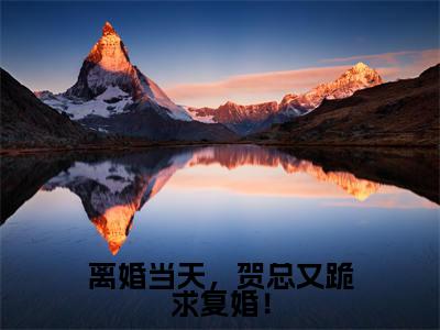 经典小说离婚当天,贺总又跪求复婚!无广告小说免费阅读 姜若贺深全章节免费阅读