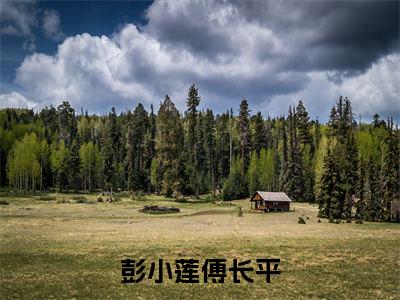 傅长平彭小莲彭小莲傅长平全文阅读 傅长平彭小莲免费阅读无弹窗