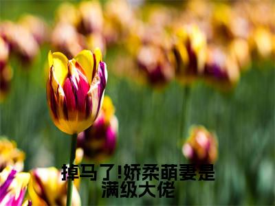  许清微晏最新章节（掉马了!娇柔萌妻是满级大佬）全文免费阅读无弹窗大结局_掉马了!娇柔萌妻是满级大佬小说全文免费阅读正版无弹窗_笔趣阁