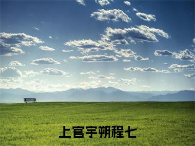 上官宇朔程七(程七上官宇朔)知乎小说全文免费阅读_上官宇朔程七最新章节小说免费阅读_笔趣阁程七上官宇朔