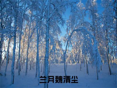 兰月魏清尘魏清尘兰月最新章节免费阅读 魏清尘兰月小说最新章节