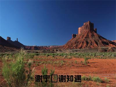 谢宁珺谢知遇(谢知遇谢宁珺)全文免费阅读无弹窗大结局_ (谢宁珺谢知遇)免费阅读无弹窗最新章节列表_笔趣阁