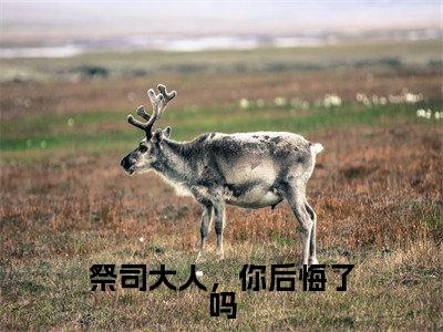 祭司大人,你后悔了吗《封无尘苏木小说免费阅读》完整-祭司大人,你后悔了吗小说(封无尘苏木)全文最新阅读