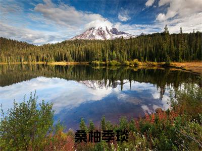 桑柚季琰(季琰桑柚)小说全文免费阅读-季琰桑柚小说最新章节完整版