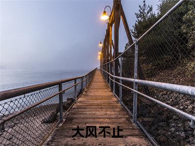 大风不止（江澈林青）全文免费阅读无弹窗大结局_（大风不止）大风不止最新章节列表_笔趣阁（大风不止）