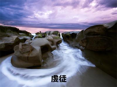 虔徒全文免费阅读无弹窗大结局_虔徒全文阅读_笔趣阁(翁颖邵驰冯征)