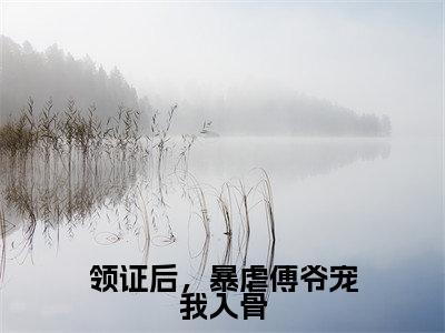 领证后，暴虐傅爷宠我入骨全文免费阅读_（温软傅时渊免费阅读无弹窗）温软傅时渊最新章节列表笔趣阁