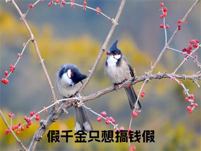  穆霜宁林心语（假千金只想搞钱假）全文免费阅读无弹窗_假千金只想搞钱假最新小说