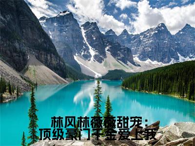 甜宠：顶级豪门千金爱上我（ 林风林薇薇）全文免费阅读无弹窗大结局_（ 林风林薇薇）章节列表_笔趣阁