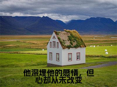 他深埋他的感情,但心却从未改变(大结局小说全集完整版) 陆准方玲珑小说_他深埋他的感情,但心却从未改变全文阅读笔趣阁