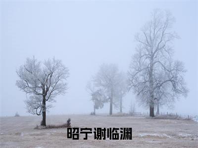 谢临渊昭宁（昭宁谢临渊）火热新书无弹窗大结局_（谢临渊昭宁）昭宁谢临渊最新章节列表_笔趣阁
