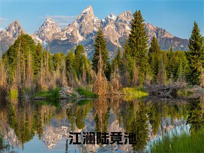 陆竟池江澜全文(江澜陆竟池)完整版小说阅读_江澜陆竟池全本列表免费笔趣阁(陆竟池江澜)