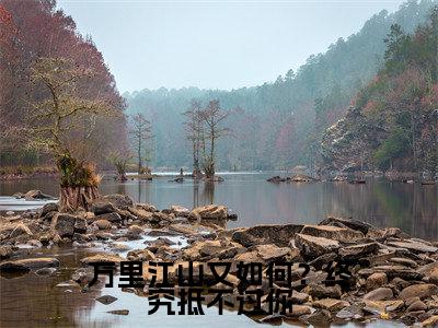 万里江山又如何？终究抵不过你小说（姜柔）全文完整版免费阅读-姜柔全文完整版免费阅读（姜柔）