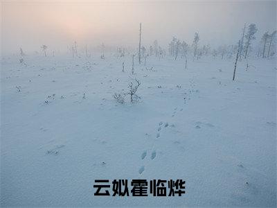 云姒霍临烨（霍临烨云姒）全文免费阅读无弹窗大结局-云姒霍临烨免费阅读全文大结局-笔趣阁
