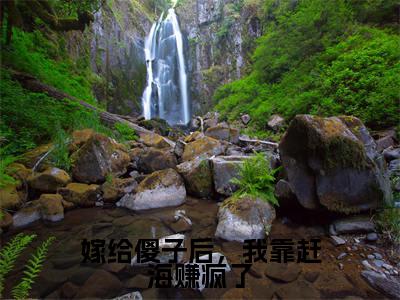 余年(嫁给傻子后,我靠赶海赚疯了)在哪免费看-余年小说(嫁给傻子后,我靠赶海赚疯了)全文完整版免费阅读