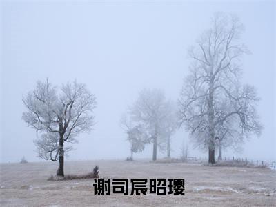 小说（谢司宸昭璎）谢司宸昭璎全文免费阅读无弹窗-谢司宸昭璎小说全文在线赏析(今日更新最新章节)