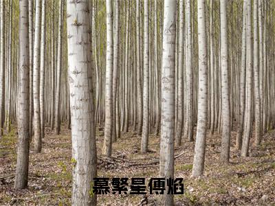 小说(慕繁星傅焰)傅焰慕繁星全文免费阅读无弹窗-傅焰慕繁星小说全文在线赏析(今日更新最新章节)