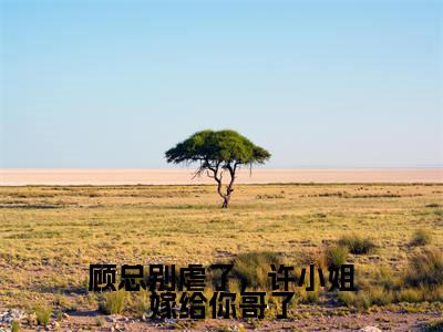 顾总别虐了,许小姐嫁给你哥了小说(许妍顾臣彦)全文免费阅读无弹窗大结局_顾总别虐了,许小姐嫁给你哥了全文免费完结版阅读(许妍顾臣彦)