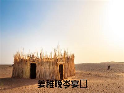 岑宴琤姜稚晚全文（姜稚晚岑宴琤）全文免费阅读无弹窗大结局_姜稚晚岑宴琤免费最新章节列表_笔趣阁