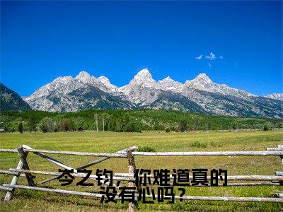 《岑之钧，你难道真的没有心吗？》木斐岑之钧（大结局小说全集完整版）木斐岑之钧小说_岑之钧，你难道真的没有心吗？全文阅读笔趣阁