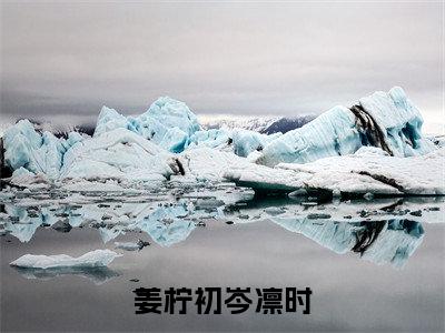 岑凛时姜柠初（姜柠初岑凛时）全文免费阅读无弹窗大结局_姜柠初岑凛时全文免费阅读_笔趣阁