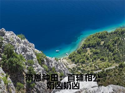 叶蓁（带崽种田：首辅相公奶凶奶凶）小说免费在线阅读_叶蓁全本免费小说阅读大结局（带崽种田：首辅相公奶凶奶凶）