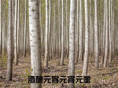 酒酿元宵元宵元奎全文免费在线阅读_ 元宵元奎全文免费阅读无弹窗大结局