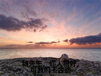 魏先生，你人很好，可我们不合适（许新楠魏行舟）全文免费阅读无弹窗大结局_魏先生，你人很好，可我们不合适最新章节列表笔趣阁