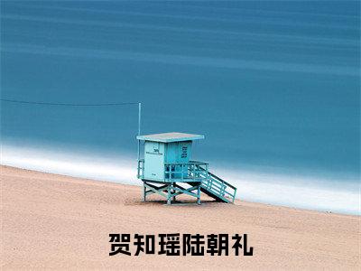 贺知瑶陆朝礼(贺知瑶陆朝礼 )全文免费阅读_贺知瑶陆朝礼言诺诺,井傅宸 小说最新章节列表笔趣阁