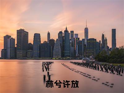 林兮许放（许放林兮）全文免费阅读无弹窗大结局_林兮许放最新章节列表