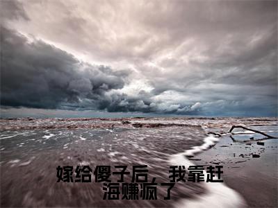 嫁给傻子后,我靠赶海赚疯了(余年)全文免费阅读无弹窗大结局_嫁给傻子后,我靠赶海赚疯了免费阅读无弹窗