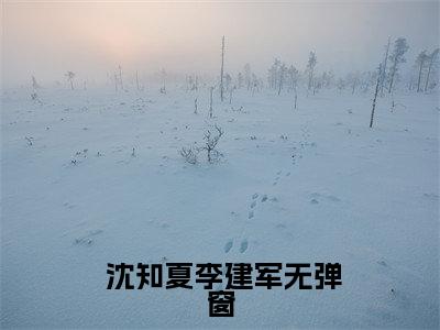 小说小说上交剧本后，八零废物女配躺赢了完整版在线阅读  沈知夏李建军精选小说推荐试读