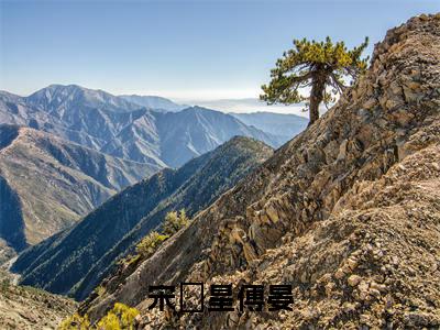 宋婠星傅晏最新章节，宋婠星傅晏今日热议小说完本阅读