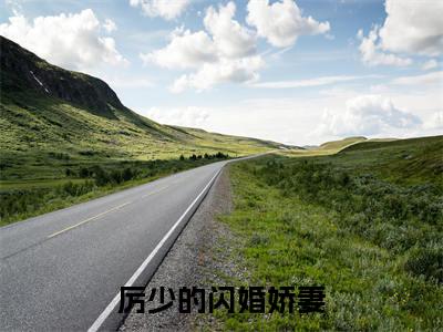 厉少的闪婚娇妻(苏糖厉云霄)小说全文免费阅读无弹窗大结局_厉少的闪婚娇妻小说免费阅读最新章节列表笔趣阁(苏糖厉云霄)