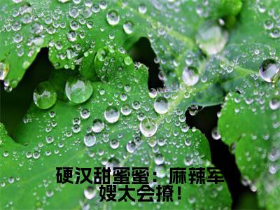 硬汉甜蜜蜜:麻辣军嫂太会撩!(桑枝门少庭)小说在线阅读_硬汉甜蜜蜜:麻辣军嫂太会撩!全本免费小说阅读(桑枝门少庭)