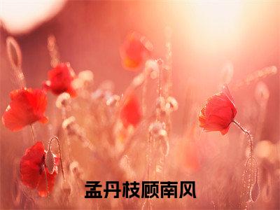 孟丹枝顾南风(顾南风孟丹枝)全文免费阅读大结局_(顾南风孟丹枝免费阅读)孟丹枝顾南风全文在线完本阅读