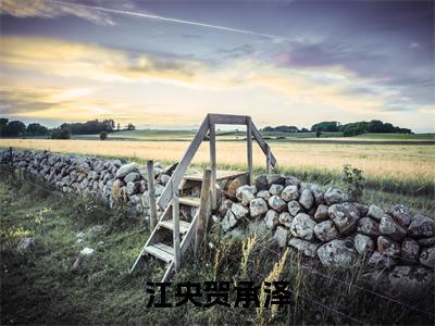 江央贺承泽抖音热推小说全集无删减贺承泽江央最新章节列表免费阅读_（江央贺承泽）最新章节列表笔趣阁