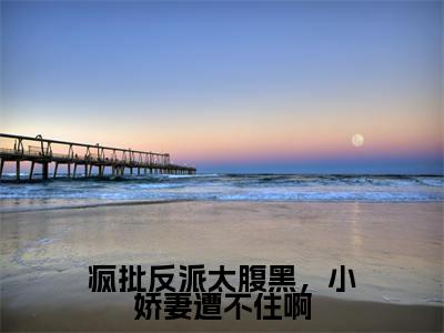 疯批反派太腹黑，小娇妻遭不住啊小说（师允夏秦楚炀）全文免费阅读无弹窗大结局_(师允夏秦楚炀)疯批反派太腹黑，小娇妻遭不住啊小说免费阅读无弹窗最新章节列表_笔趣阁（师允夏秦楚炀）